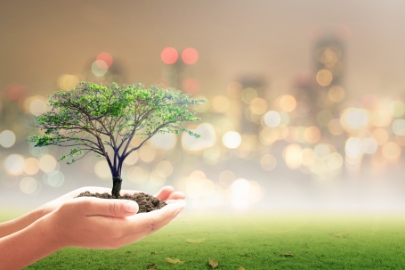 Waste treatment chemicals / sales & engineering