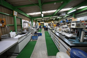 Koshigaya Test Laboratory